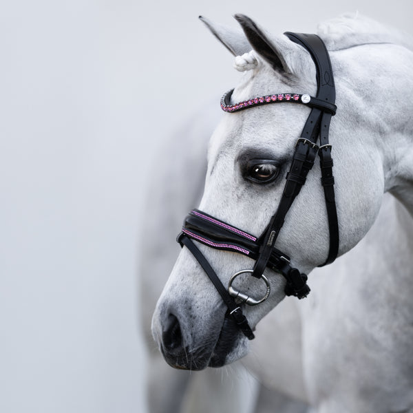 Fairyfloss bridle (Lumi Pony)