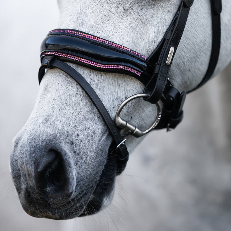 Fairyfloss bridle (Lumi Pony)