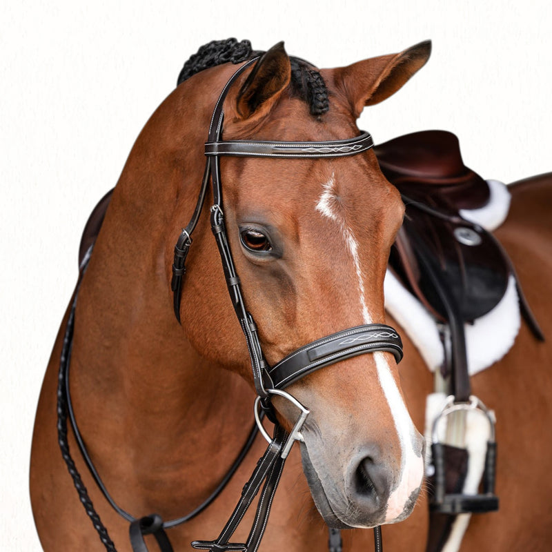 'Classic' hunter bridle (Lumi Pony)