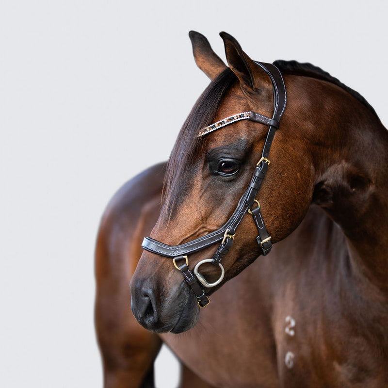 'Amber' Anatomic Leather Bridle (Micklem Style) (Lumi Pony)