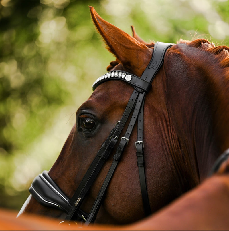 Diva browband