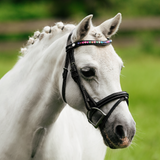 Rainbow bridle (convertible) (Lumi Pony)