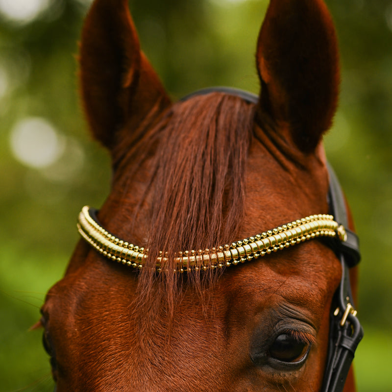 Delta crystal browband (Lumi Pony)