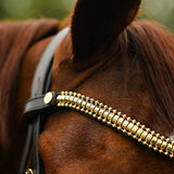 Delta bridle (cavesson)