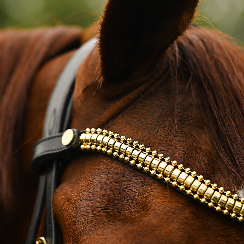 Delta crystal browband (Lumi Pony)