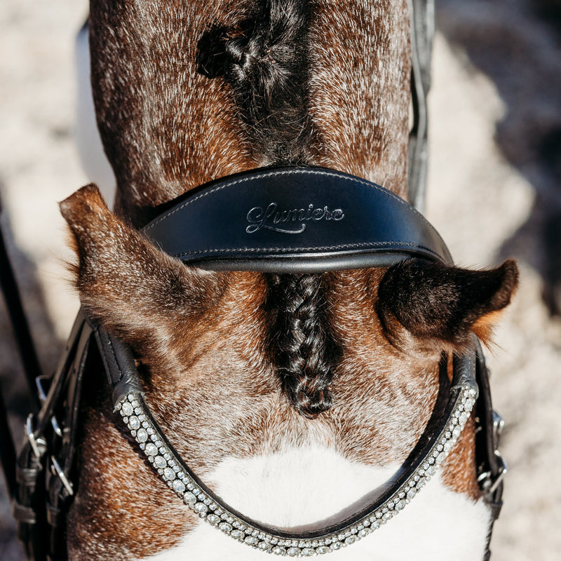 'Amie' Rolled Leather Bridle (Hanoverian) (Lumi Pony)