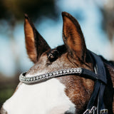 'Amie' Rolled Leather Bridle (Hanoverian) (Lumi Pony)