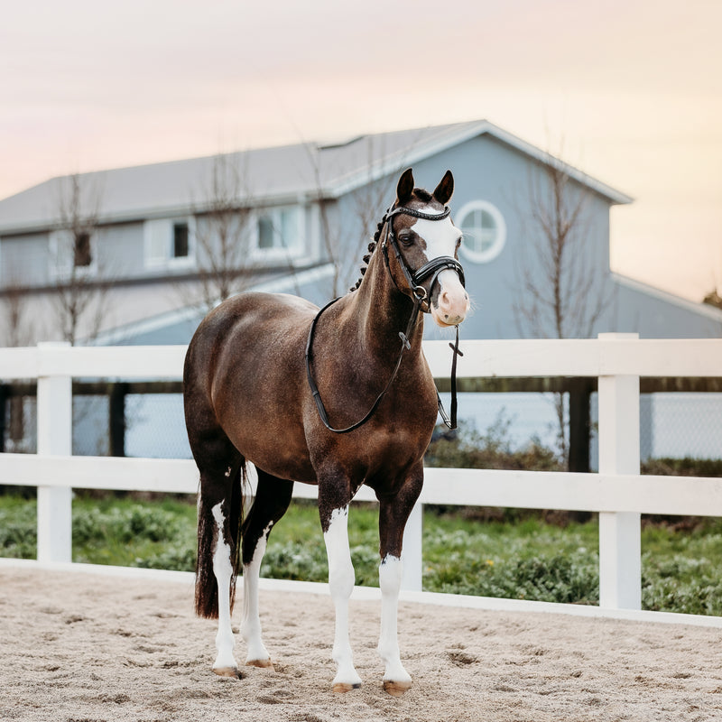 'Arcadia' Luxury Leather Bridle (hanoverian) (Lumi Pony)