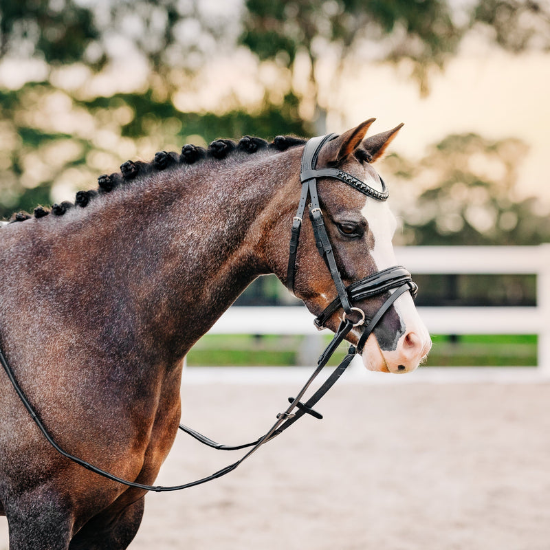 'Arcadia' Luxury Leather Bridle (hanoverian) (Lumi Pony)