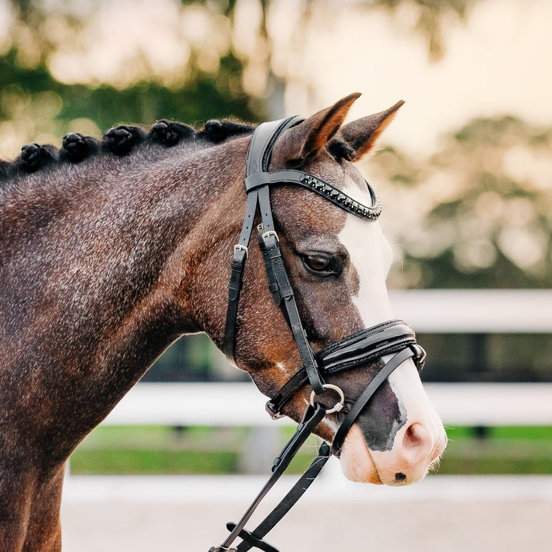 'Arcadia' Luxury Leather Bridle (hanoverian) (Lumi Pony)