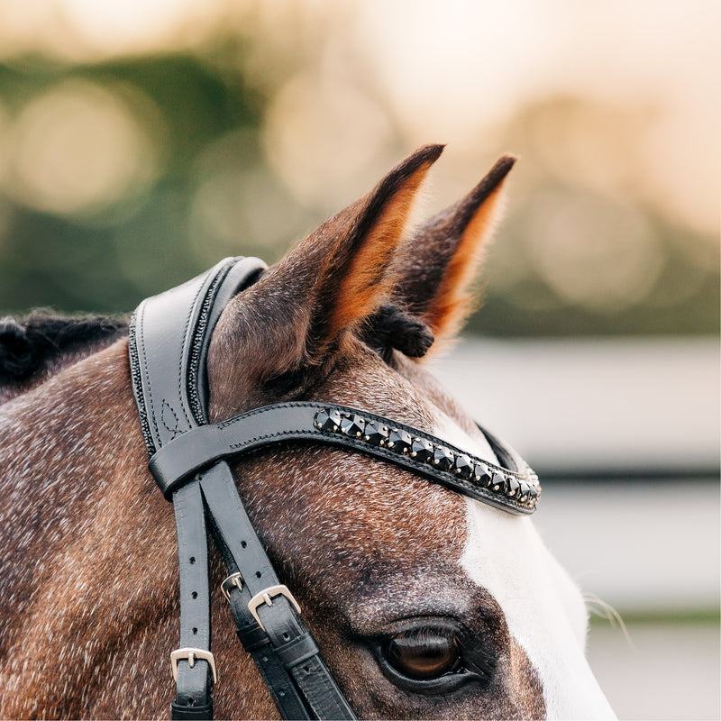 'Arcadia' Luxury Leather Bridle (hanoverian) (Lumi Pony)