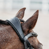 'Arcadia' Luxury Leather Bridle (Cavesson) (Lumi Pony)