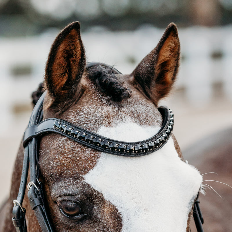 'Arcadia' Luxury Leather Bridle (hanoverian) (Lumi Pony)