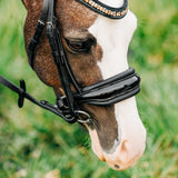 'Ariana' bridle (cavesson) (Lumi Pony)