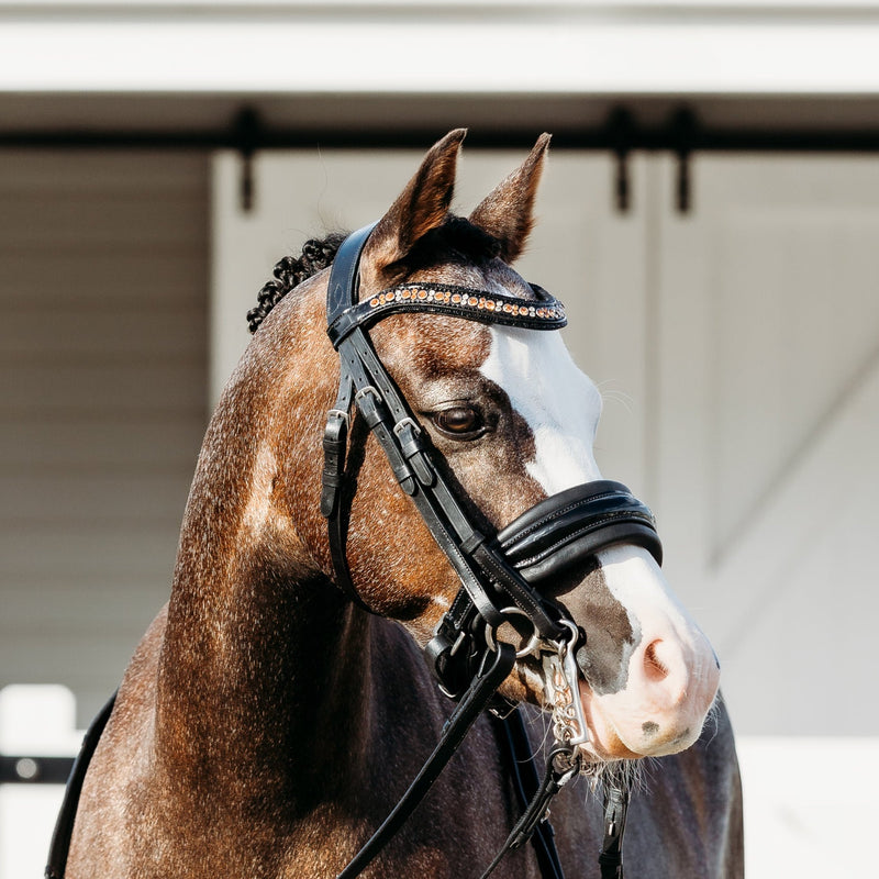 'Ariana' bridle (double) (Lumi Pony)