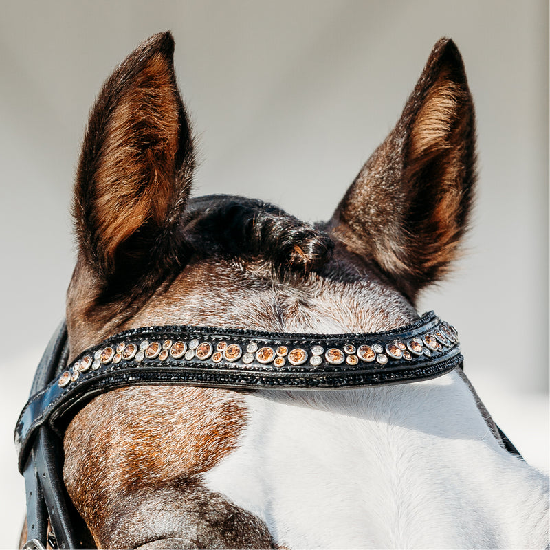 'Ariana' bridle (double) (Lumi Pony)