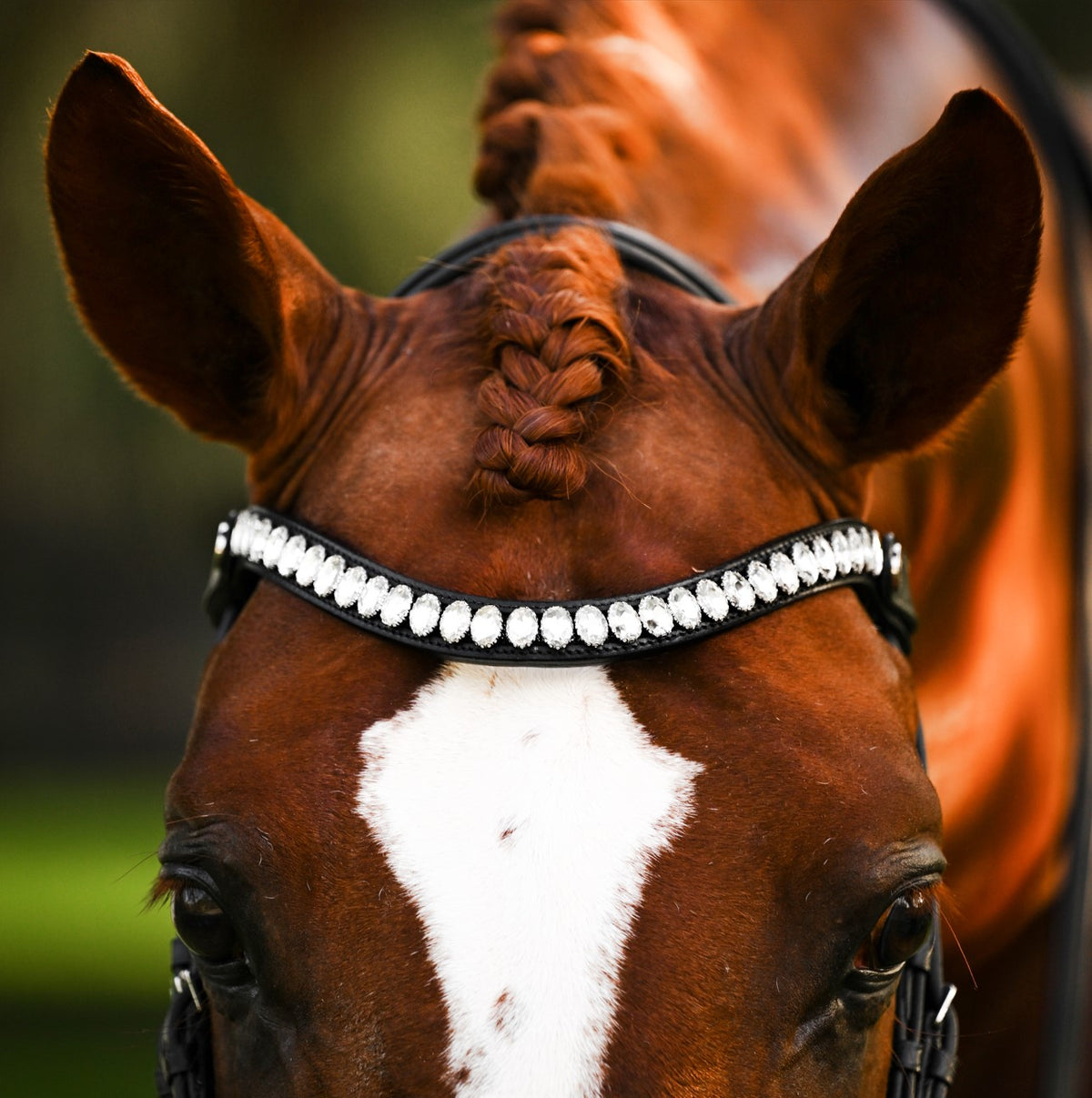 Native Horse Brow Band 2024