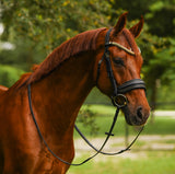 Delta bridle (cavesson)