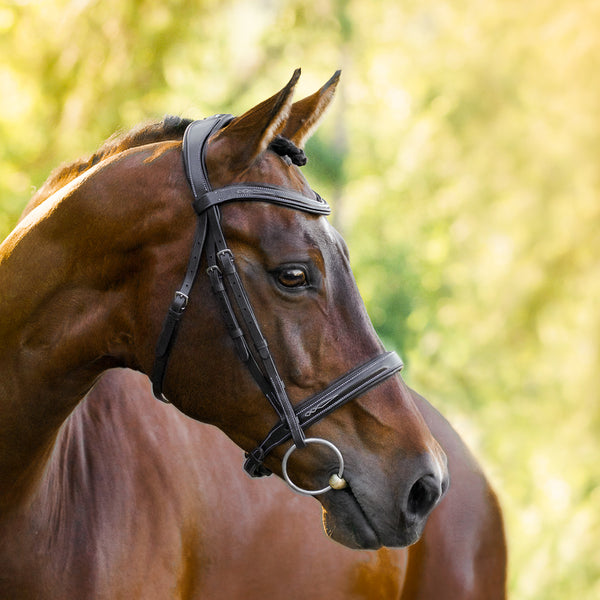 Milan Noseband - Seconds - Clearance