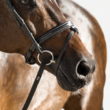 Milan Noseband - Seconds - Clearance