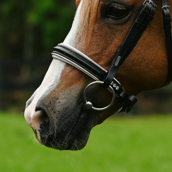 Princess Hanoverian noseband (Lumi Pony) - Seconds - Clearance