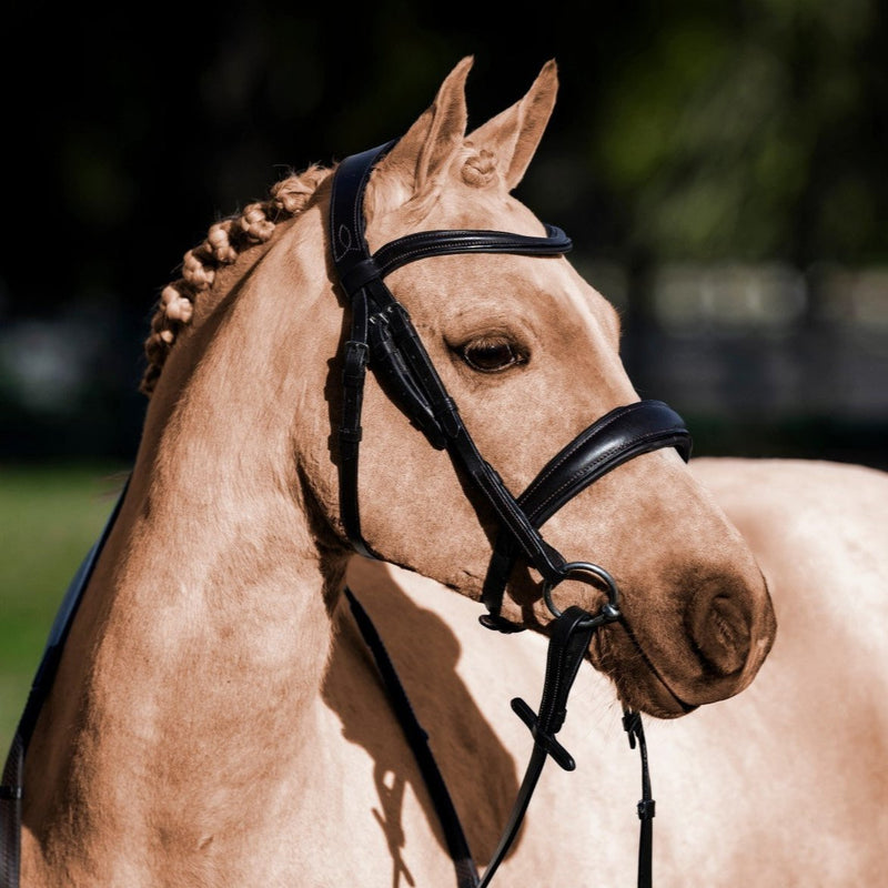 'Mikayla' Leather Bridle (Convertible) (Lumi Pony)