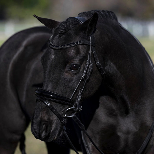 'Audrey' Rolled Leather Bridle (Hanoverian) (Lumi Pony)