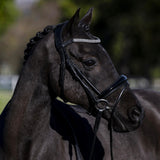 'Amie' Rolled Leather Bridle (Hanoverian) (Lumi Pony)