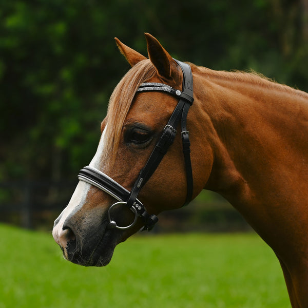 Princess bridle (Lumi Pony)