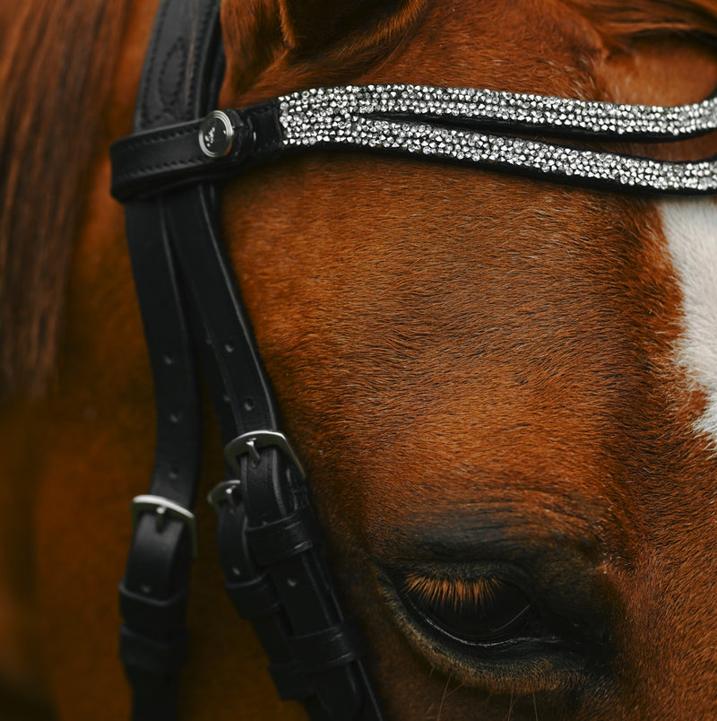 Princess bridle (Lumi Pony)