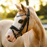 Unicorn bridle (Lumi Pony)