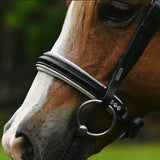 Princess bridle (Lumi Pony)