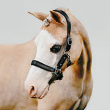 'Vegas' glitter leather halter (Lumi Pony)