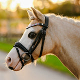 Unicorn bridle (Lumi Pony)