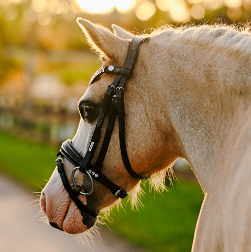 Unicorn bridle (Lumi Pony)