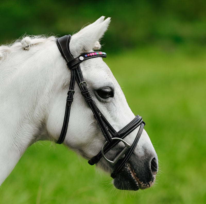 Rainbow bridle (convertible) (Lumi Pony)