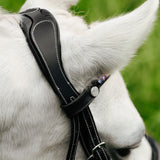 Rainbow bridle (convertible) (Lumi Pony)