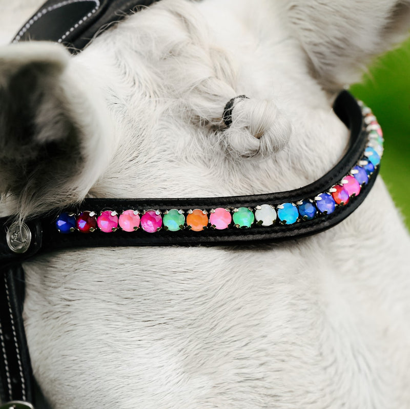 Rainbow bridle (convertible) (Lumi Pony)