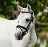 Rainbow bridle (convertible) (Lumi Pony)