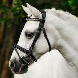 Rainbow bridle (convertible) (Lumi Pony)