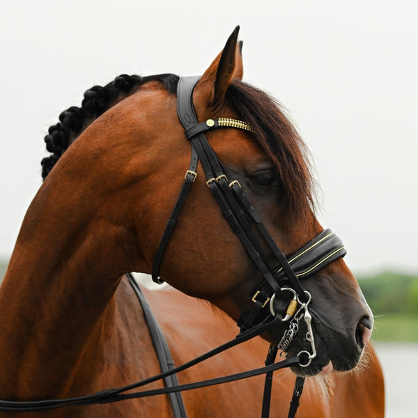 Delta bridle (double)