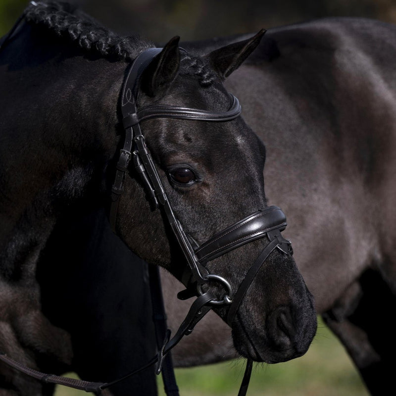 'Mikayla' Leather Bridle (Convertible) (Lumi Pony)