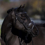 'Mikayla' Leather Bridle (Convertible) (Lumi Pony)