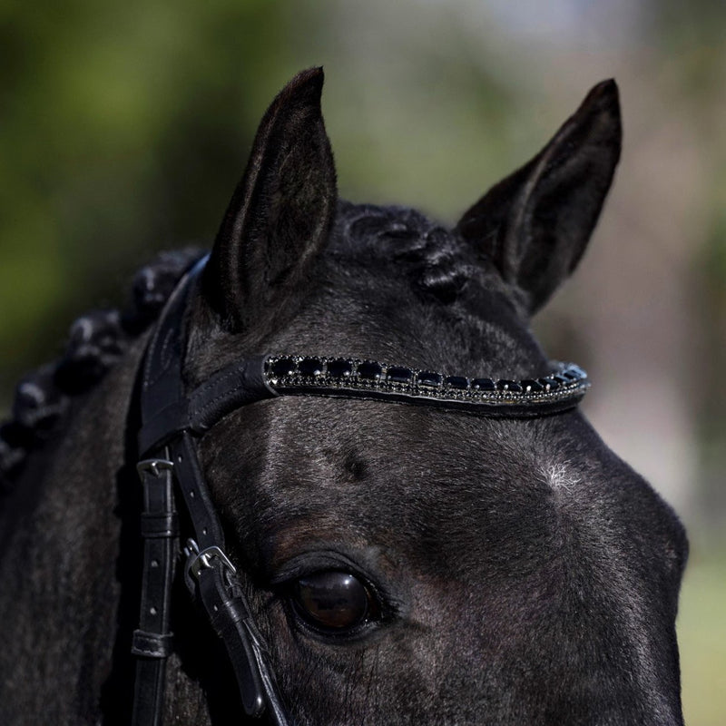 'Audrey' Rolled Leather Bridle (Hanoverian) (Lumi Pony)