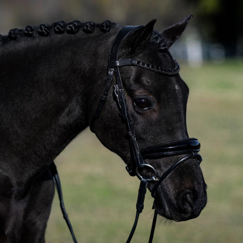 'Audrey' Rolled Leather Bridle (Hanoverian) (Lumi Pony)