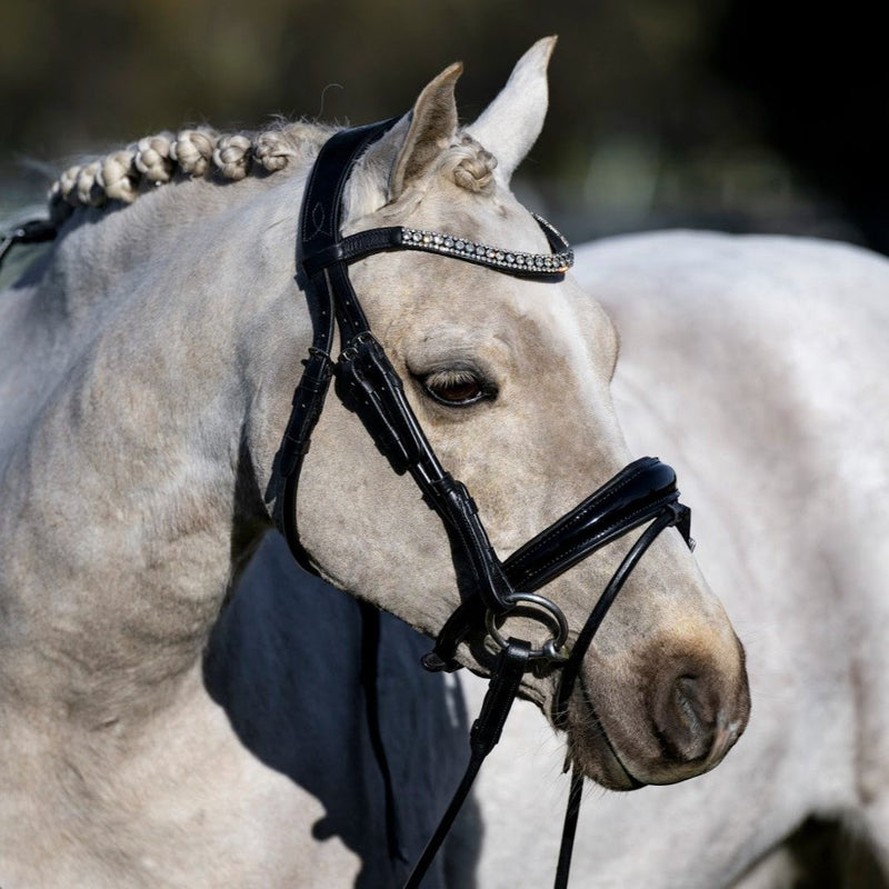 'Amie' Rolled Leather Bridle (Hanoverian) (Lumi Pony)