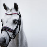 Fairyfloss bridle (Lumi Pony)