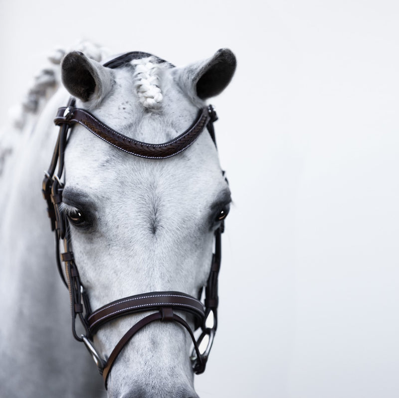 'Delaney' leather bridle (Lumi Pony)