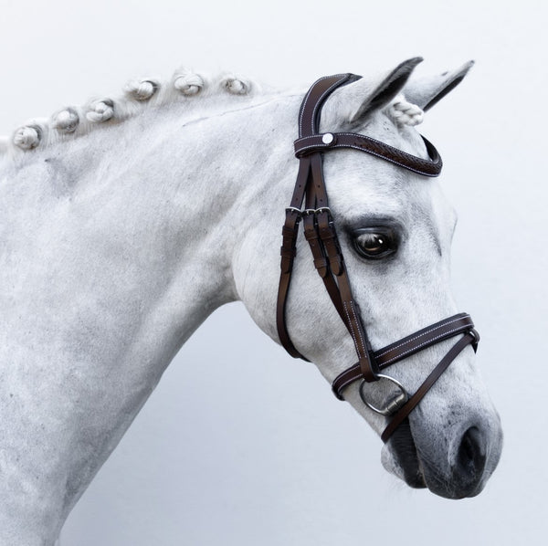 'Delaney' leather bridle (Lumi Pony)