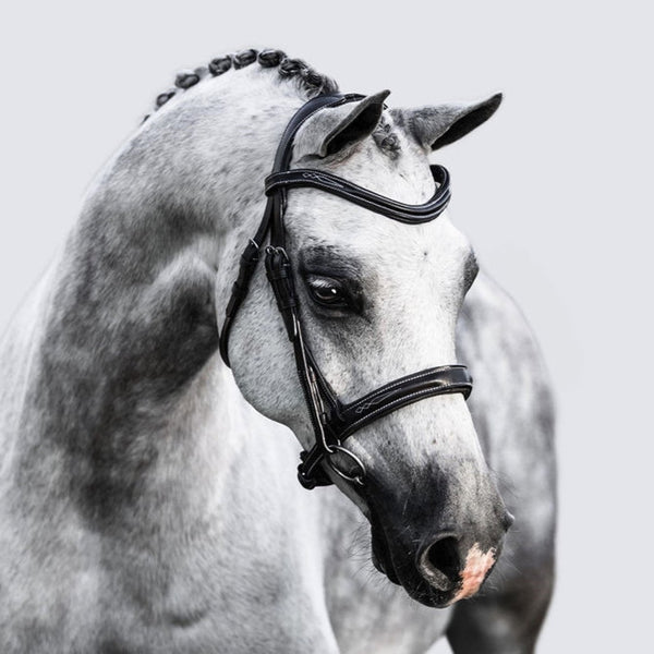 'Milan' leather bridle (convertible) (Lumi Pony)